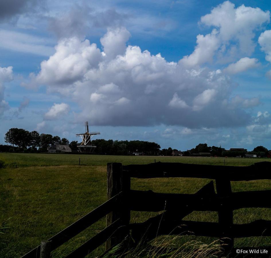 The Wee White Hoose Bed & Breakfast Oosternijkerk Exterior foto
