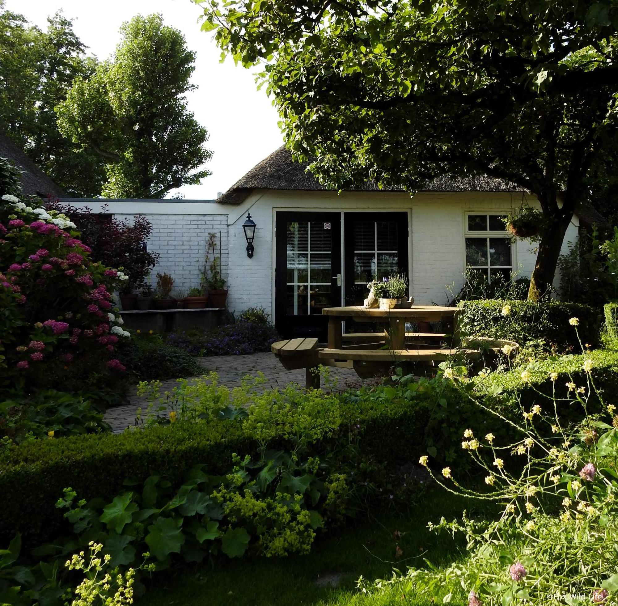 The Wee White Hoose Bed & Breakfast Oosternijkerk Exterior foto