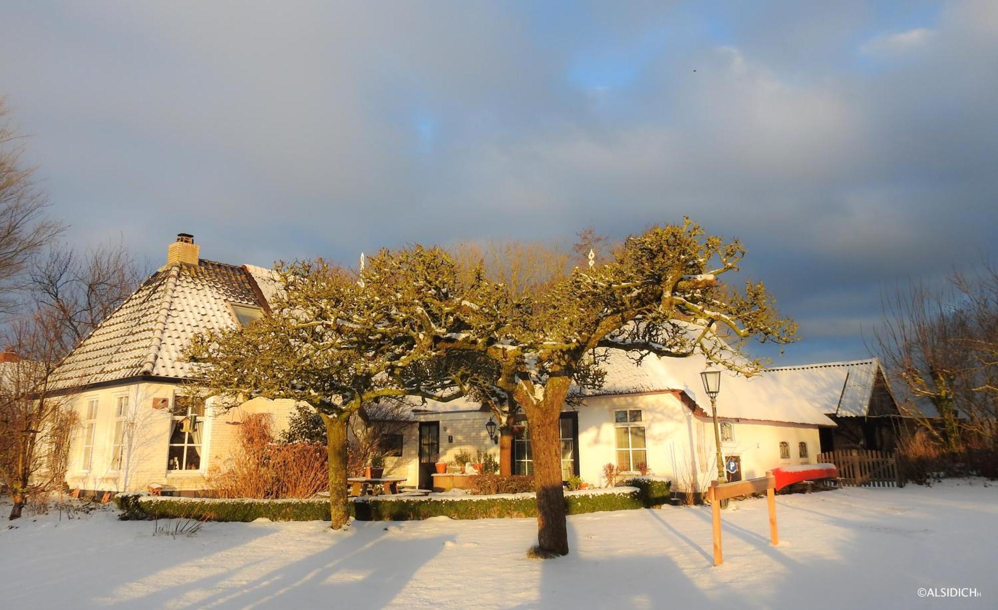 The Wee White Hoose Bed & Breakfast Oosternijkerk Exterior foto